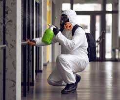 Best Forensic Mold Investigation  in Circleville, OH